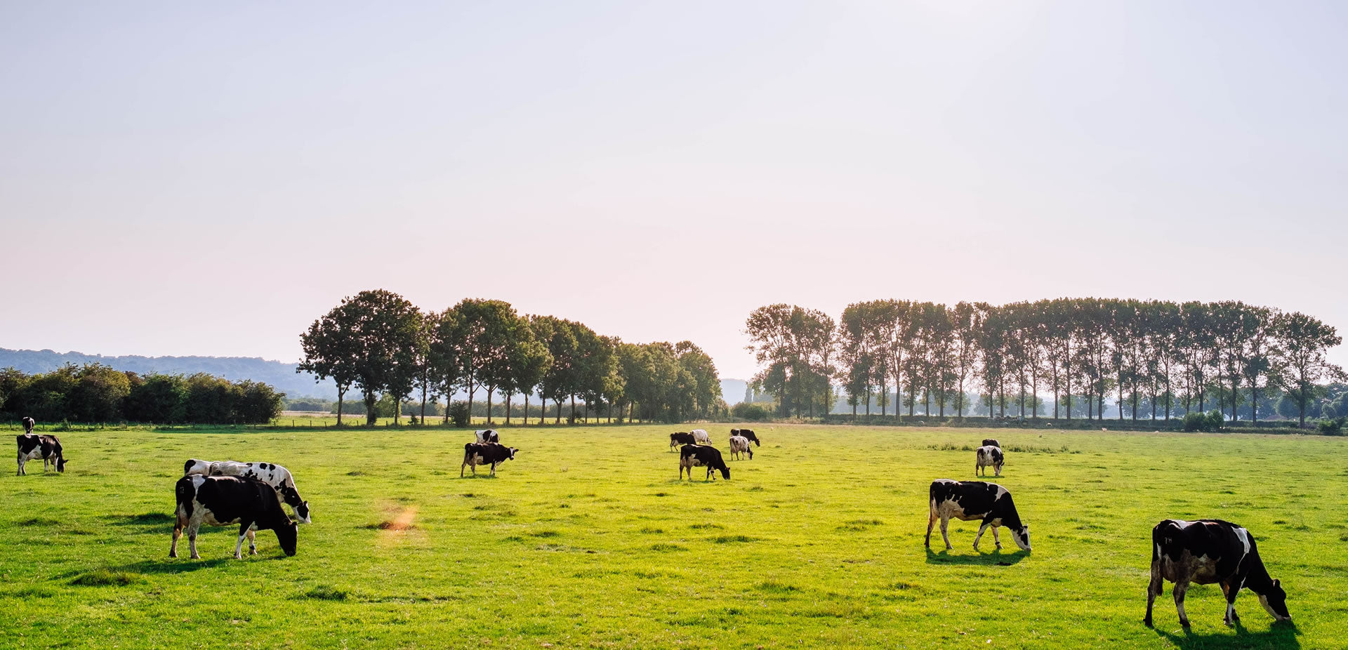 Rural Water Filters, UV